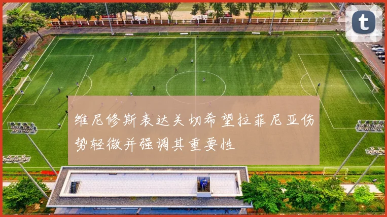 维尼修斯表达关切希望拉菲尼亚伤势轻微并强调其重要性